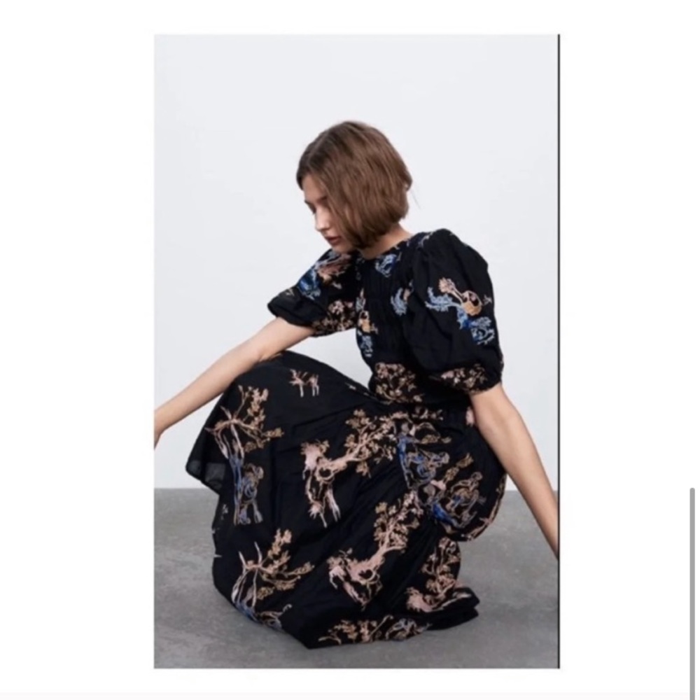NWT Zara Elastic Trim Embroidered Dress S - Picture 6 of 9